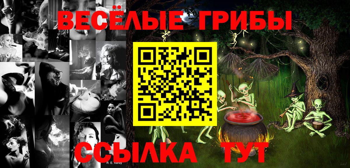 Галлюциногенные грибы Psilocybine cubensis  Вход с VPN  Нурлат 
