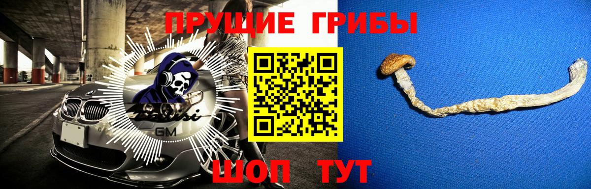 Псилоцибиновые грибы мицелий Нурлат